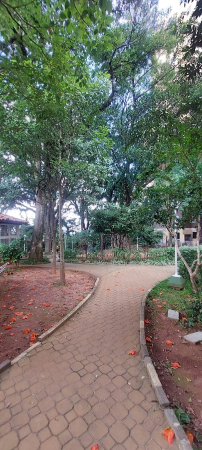 Apartamento, 3 quartos, 79 m² - Foto 15