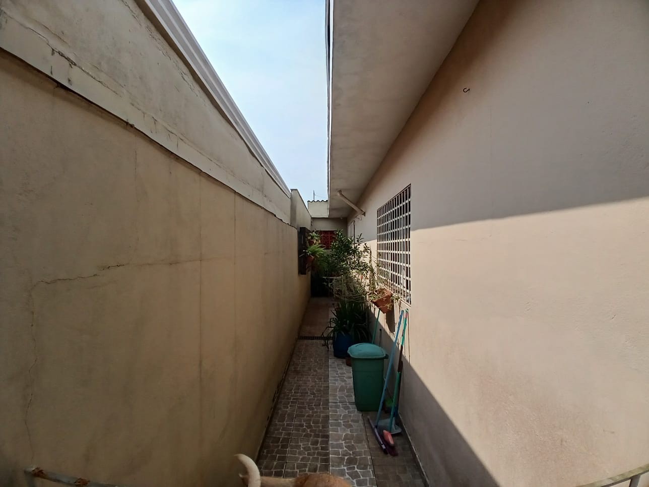 Casa, 3 quartos, 128 m² - Foto 6