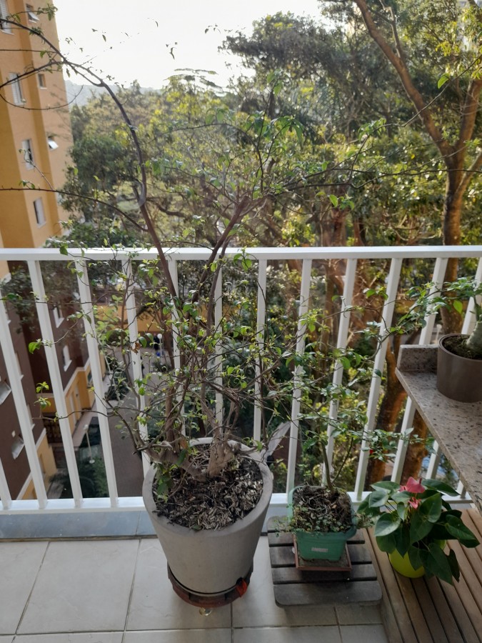 Apartamento, 3 quartos, 72 m² - Foto 22
